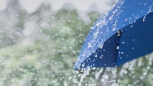 Rain