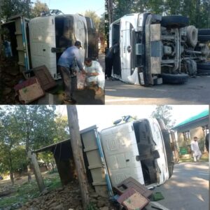Dumper Skids