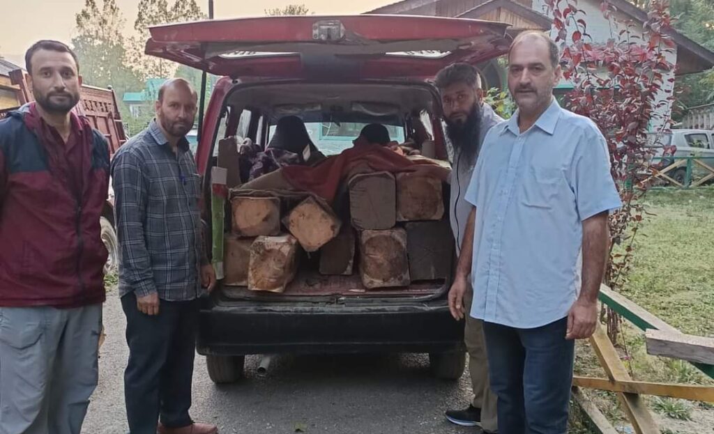 Illegal Timber
