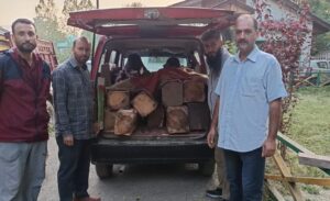 Illegal Timber