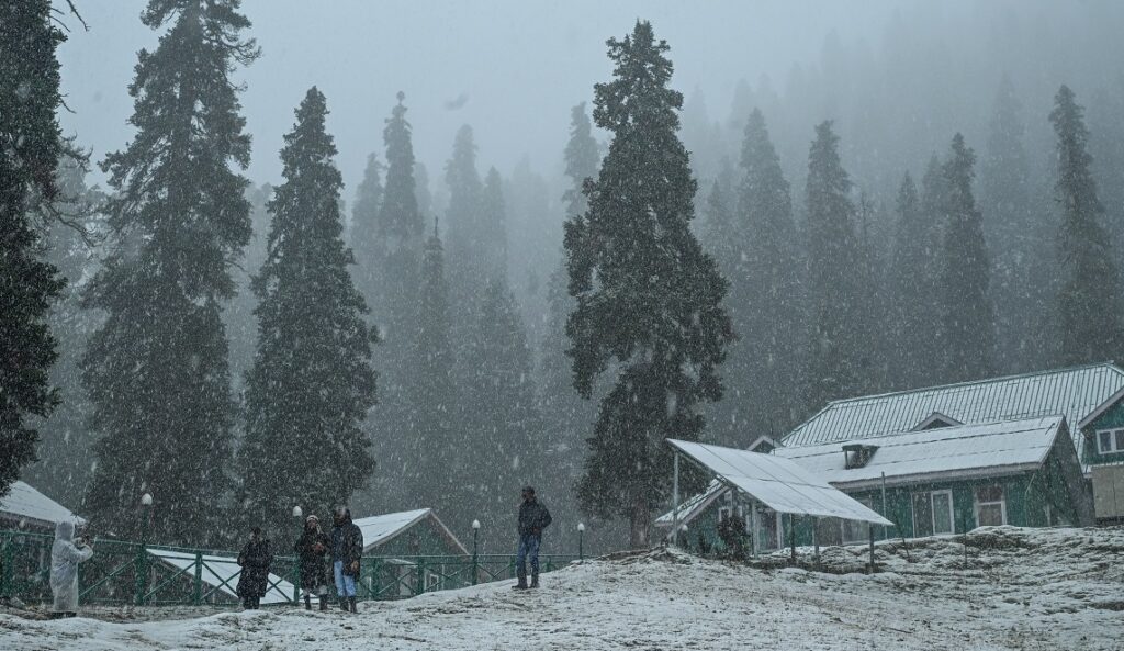 Fresh Snowfall
