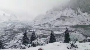 Fresh Snowfall