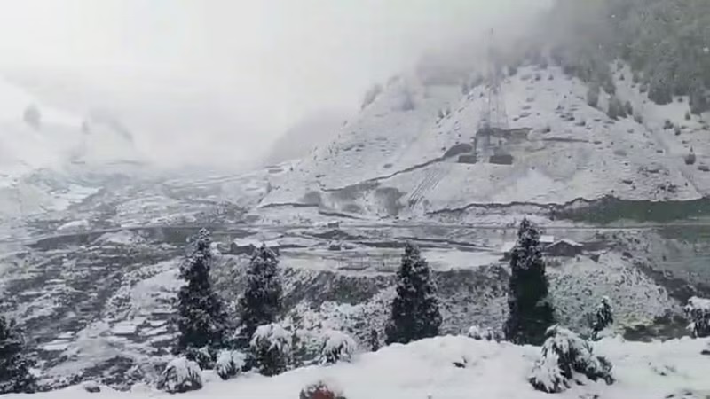Fresh Snowfall