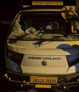 Bovine Smuggling
