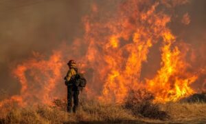 Los Angeles wildfires