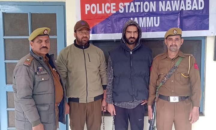 Drug Peddler Arrested