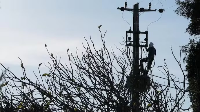 Tree-Cutting Works
