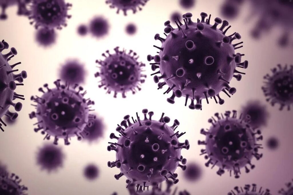 H1N1